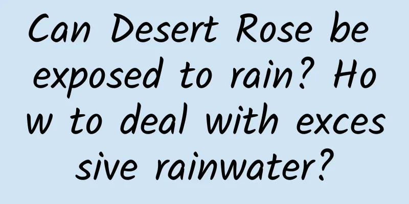 Can Desert Rose be exposed to rain? How to deal with excessive rainwater?