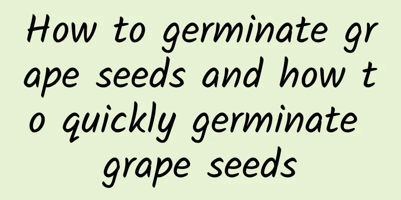 How to germinate grape seeds and how to quickly germinate grape seeds