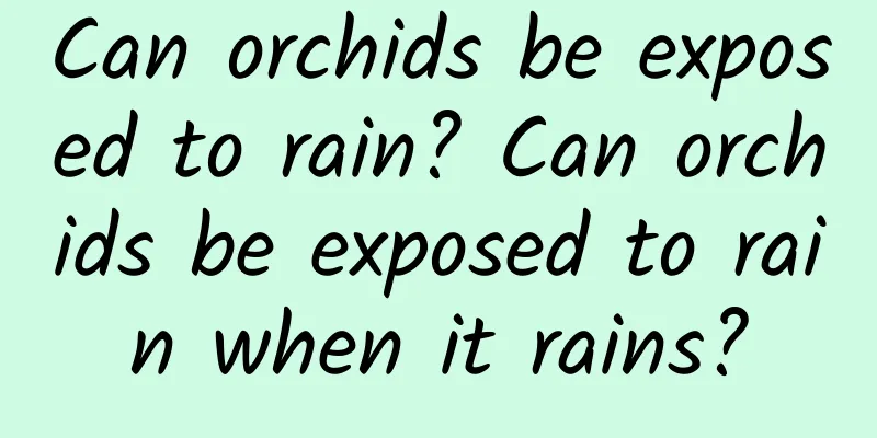 Can orchids be exposed to rain? Can orchids be exposed to rain when it rains?