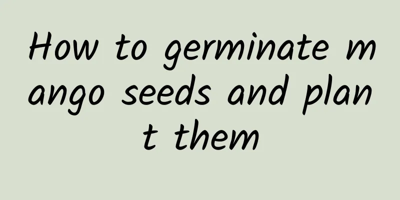 How to germinate mango seeds and plant them