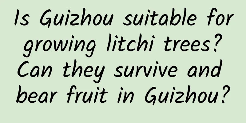 Is Guizhou suitable for growing litchi trees? Can they survive and bear fruit in Guizhou?