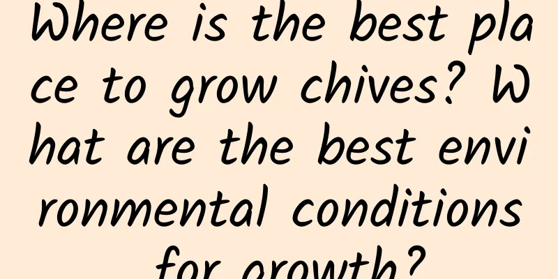 Where is the best place to grow chives? What are the best environmental conditions for growth?