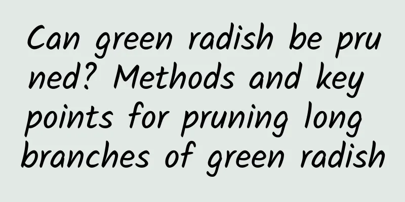 Can green radish be pruned? Methods and key points for pruning long branches of green radish