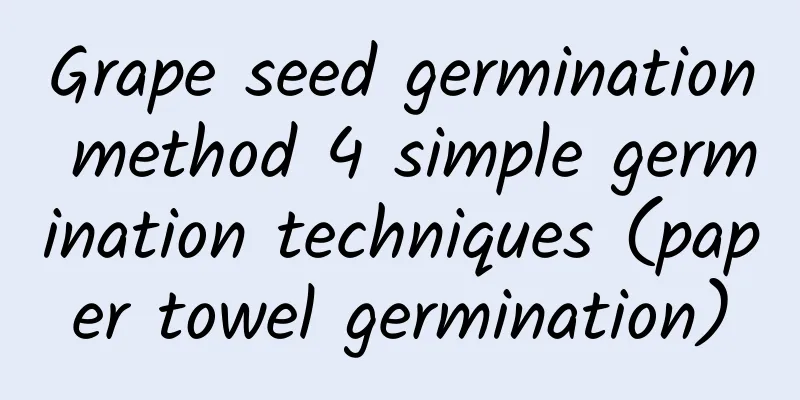 Grape seed germination method 4 simple germination techniques (paper towel germination)