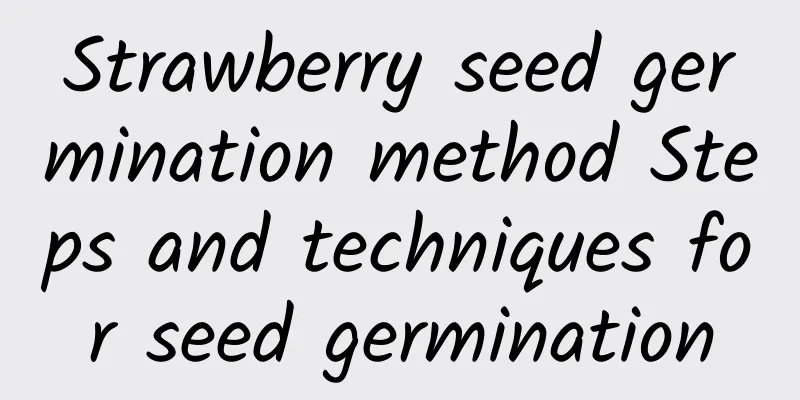 Strawberry seed germination method Steps and techniques for seed germination