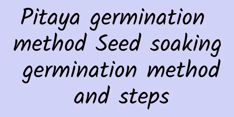 Pitaya germination method Seed soaking germination method and steps