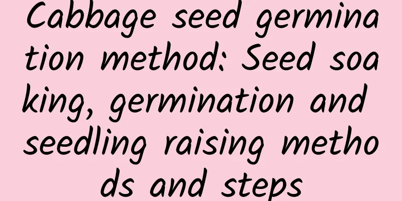 Cabbage seed germination method: Seed soaking, germination and seedling raising methods and steps