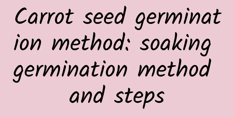 Carrot seed germination method: soaking germination method and steps