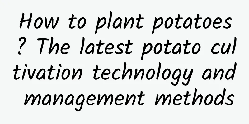 How to plant potatoes? The latest potato cultivation technology and management methods