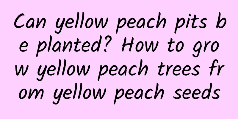 Can yellow peach pits be planted? How to grow yellow peach trees from yellow peach seeds