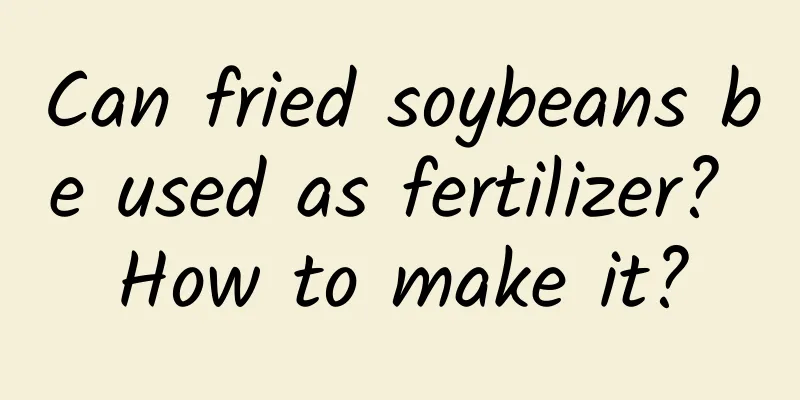 Can fried soybeans be used as fertilizer? How to make it?