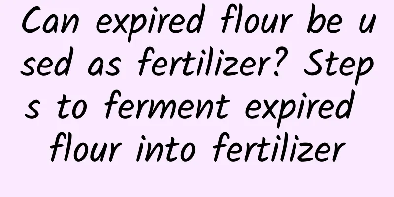 Can expired flour be used as fertilizer? Steps to ferment expired flour into fertilizer
