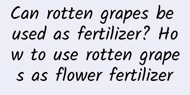 Can rotten grapes be used as fertilizer? How to use rotten grapes as flower fertilizer
