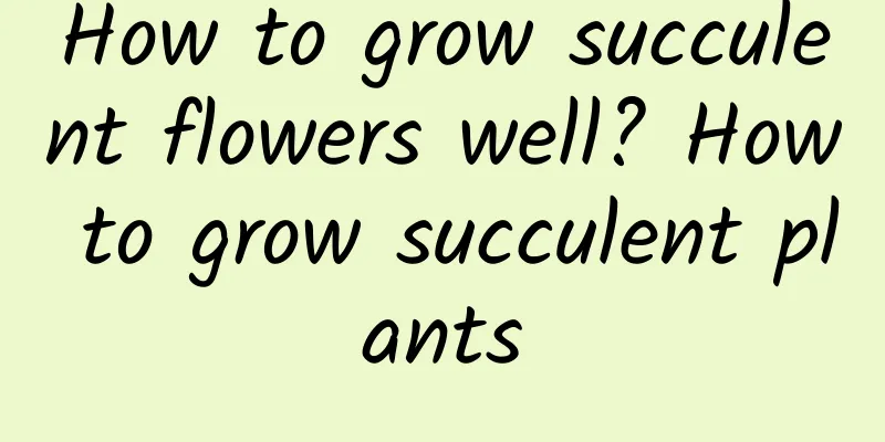How to grow succulent flowers well? How to grow succulent plants