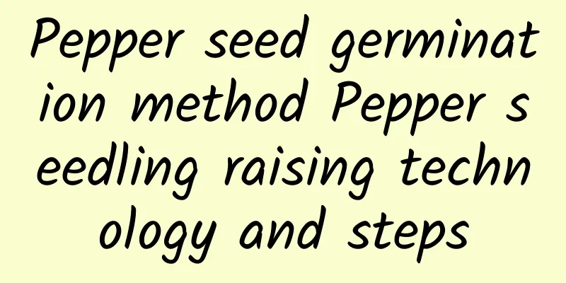 Pepper seed germination method Pepper seedling raising technology and steps