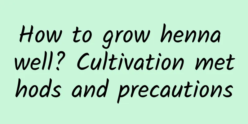 How to grow henna well? Cultivation methods and precautions
