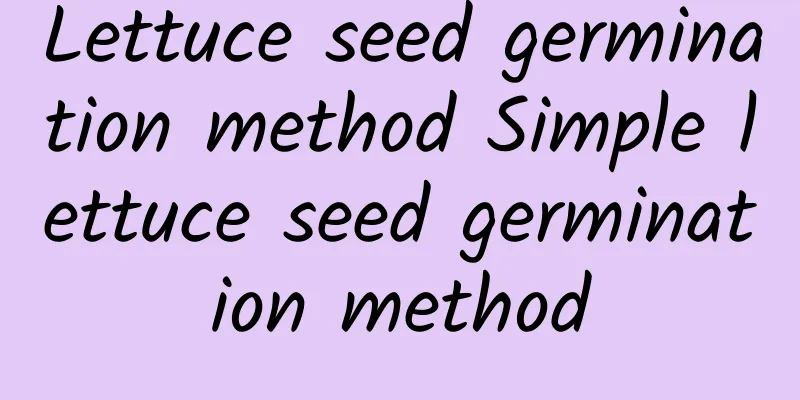 Lettuce seed germination method Simple lettuce seed germination method