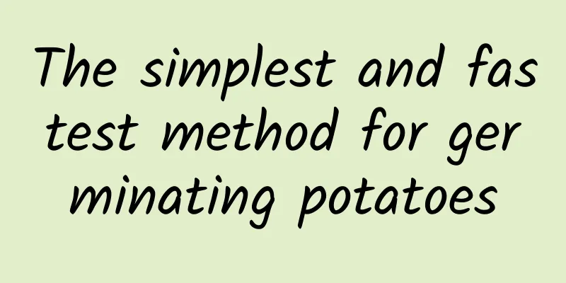 The simplest and fastest method for germinating potatoes