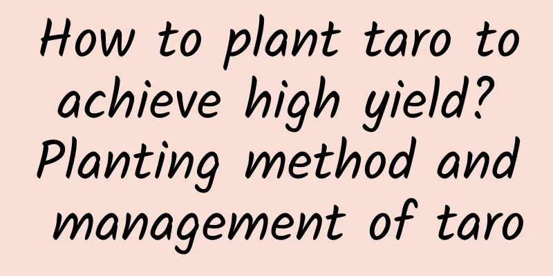 How to plant taro to achieve high yield? Planting method and management of taro