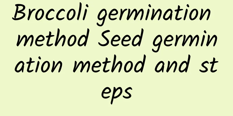 Broccoli germination method Seed germination method and steps