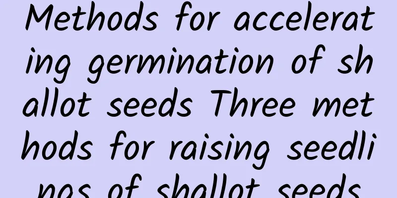 Methods for accelerating germination of shallot seeds Three methods for raising seedlings of shallot seeds