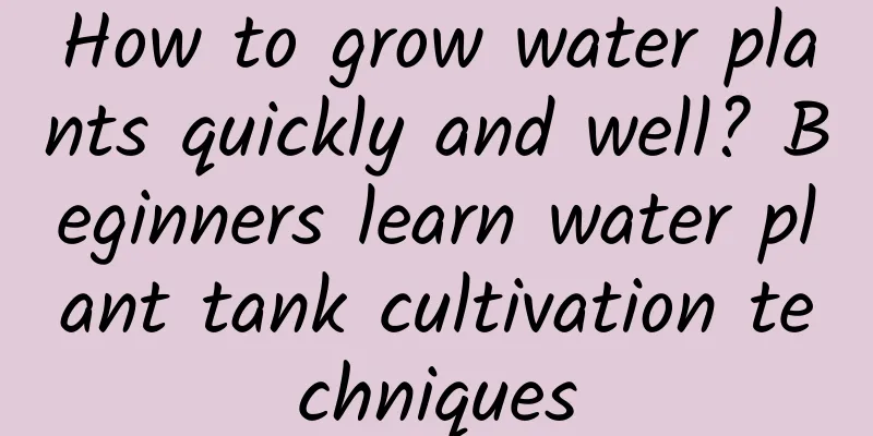 How to grow water plants quickly and well? Beginners learn water plant tank cultivation techniques