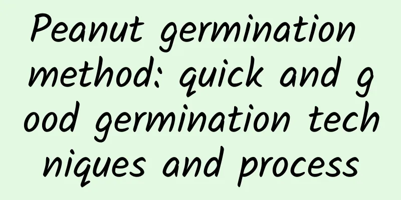 Peanut germination method: quick and good germination techniques and process