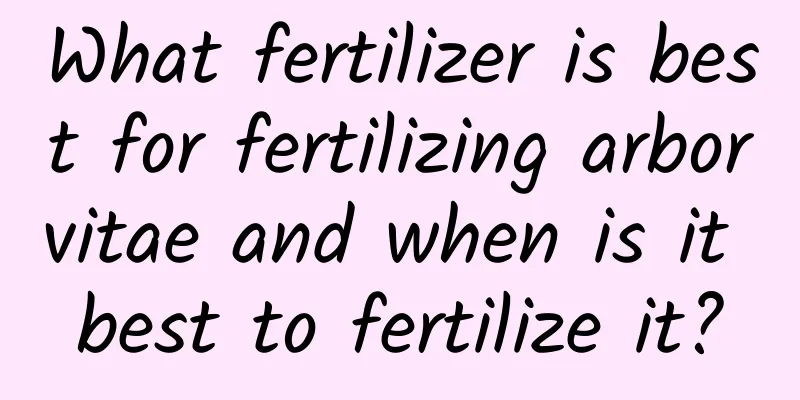 What fertilizer is best for fertilizing arborvitae and when is it best to fertilize it?