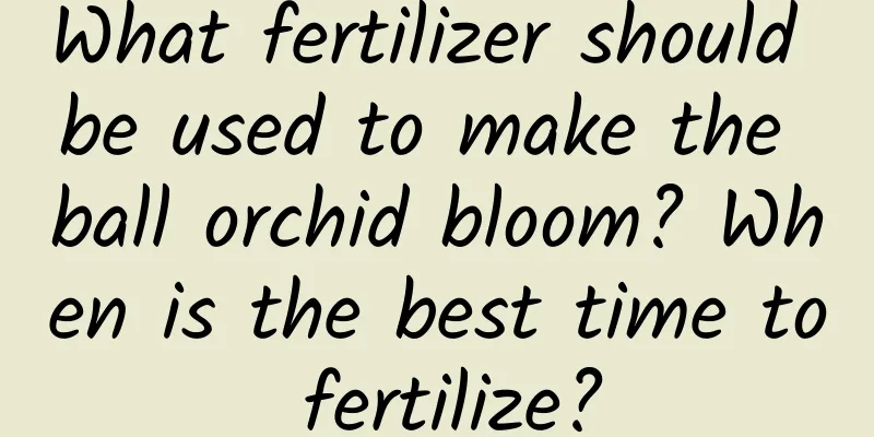 What fertilizer should be used to make the ball orchid bloom? When is the best time to fertilize?