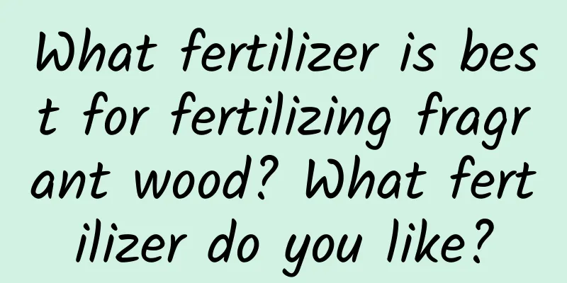 What fertilizer is best for fertilizing fragrant wood? What fertilizer do you like?