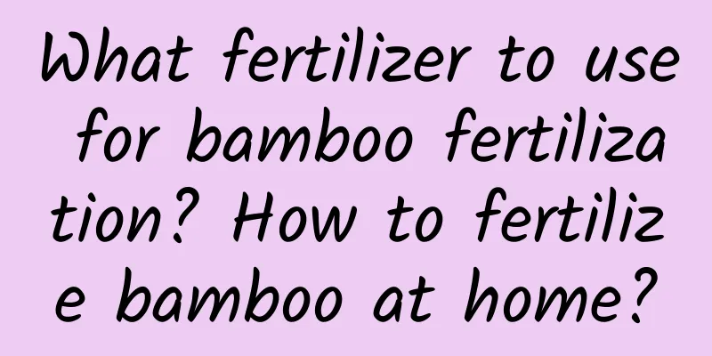 What fertilizer to use for bamboo fertilization? How to fertilize bamboo at home?