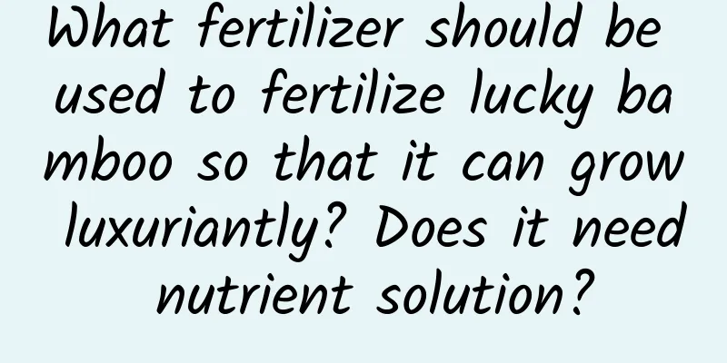 What fertilizer should be used to fertilize lucky bamboo so that it can grow luxuriantly? Does it need nutrient solution?