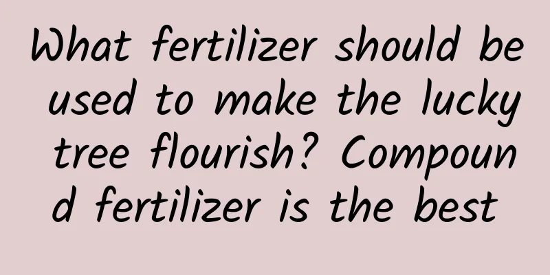 What fertilizer should be used to make the lucky tree flourish? Compound fertilizer is the best