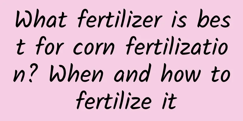 What fertilizer is best for corn fertilization? When and how to fertilize it