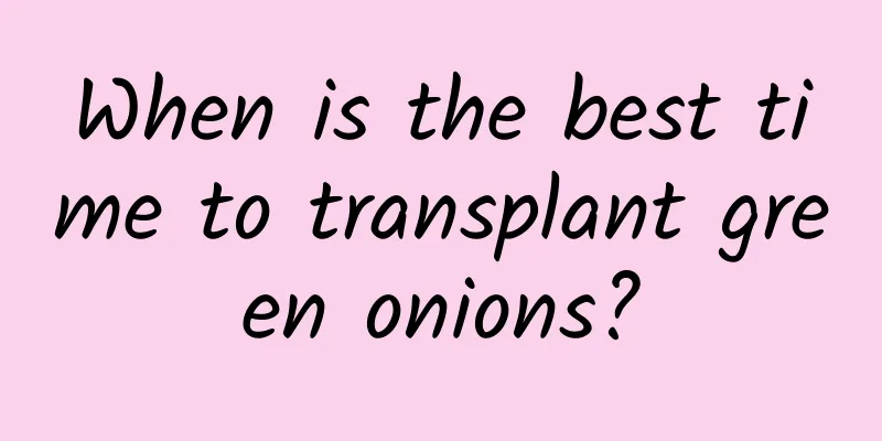 When is the best time to transplant green onions?