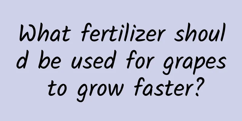 What fertilizer should be used for grapes to grow faster?