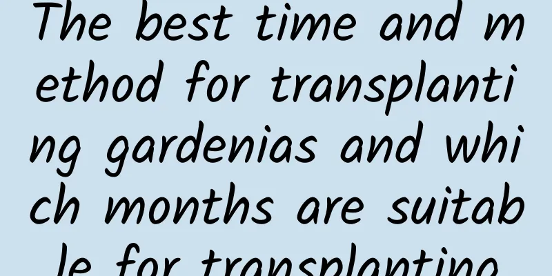 The best time and method for transplanting gardenias and which months are suitable for transplanting
