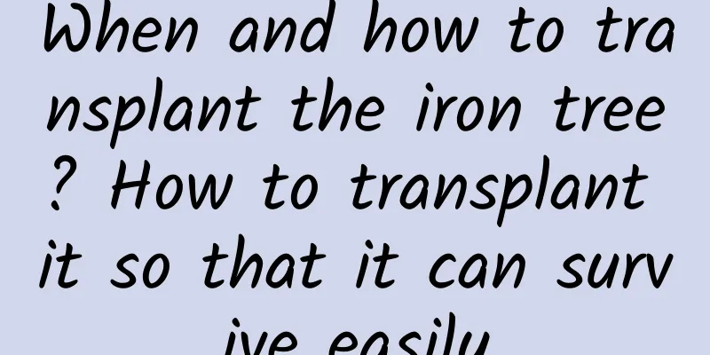 When and how to transplant the iron tree? How to transplant it so that it can survive easily
