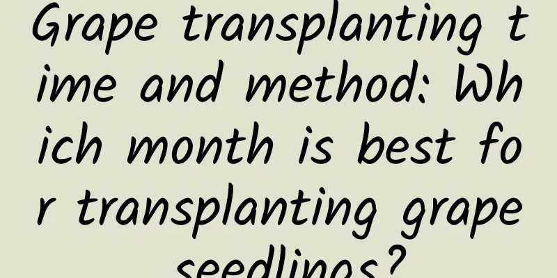Grape transplanting time and method: Which month is best for transplanting grape seedlings?