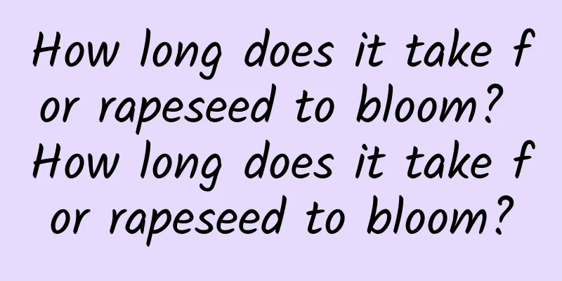 How long does it take for rapeseed to bloom? How long does it take for rapeseed to bloom?