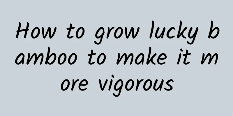 How to grow lucky bamboo to make it more vigorous