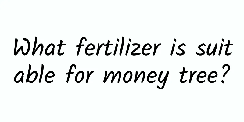What fertilizer is suitable for money tree?