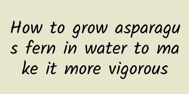 How to grow asparagus fern in water to make it more vigorous