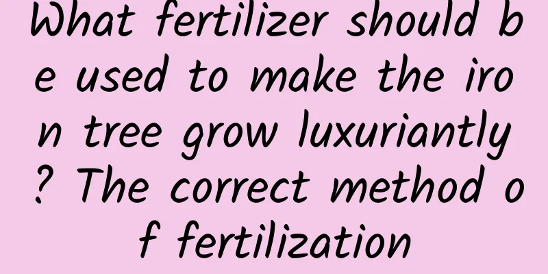 What fertilizer should be used to make the iron tree grow luxuriantly? The correct method of fertilization