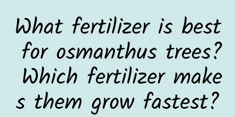 What fertilizer is best for osmanthus trees? Which fertilizer makes them grow fastest?