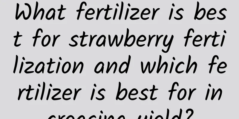 What fertilizer is best for strawberry fertilization and which fertilizer is best for increasing yield?