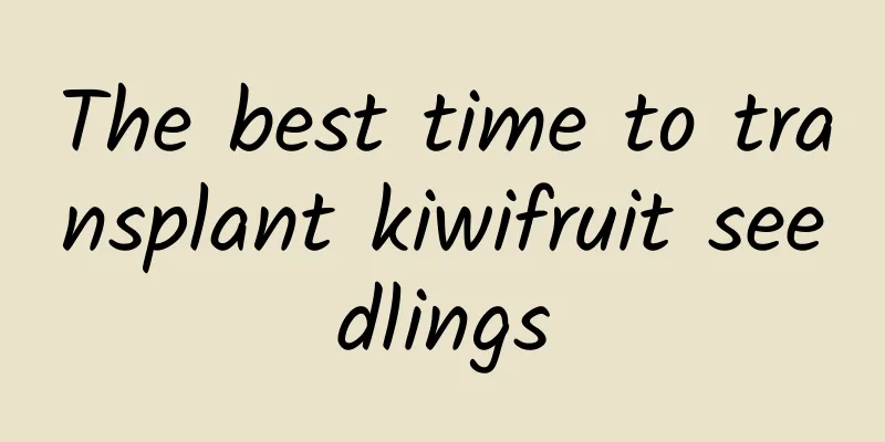 The best time to transplant kiwifruit seedlings