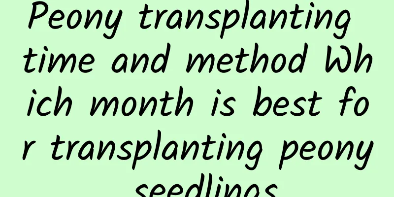 Peony transplanting time and method Which month is best for transplanting peony seedlings
