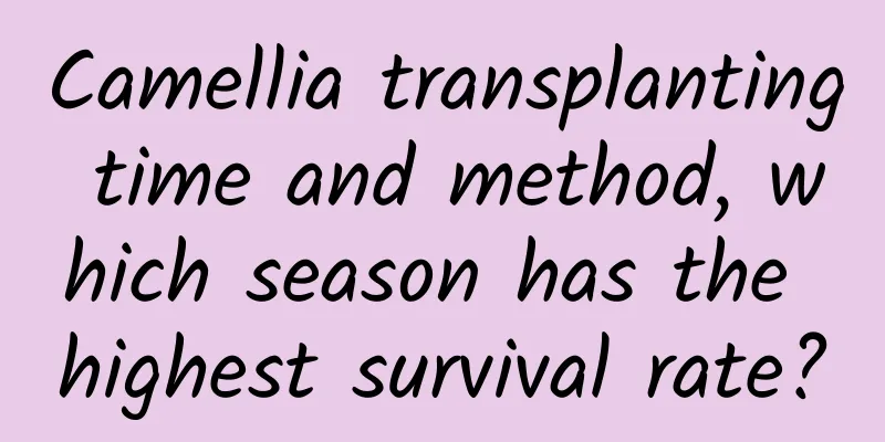 Camellia transplanting time and method, which season has the highest survival rate?