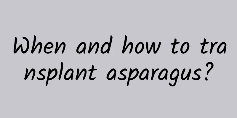 When and how to transplant asparagus?
